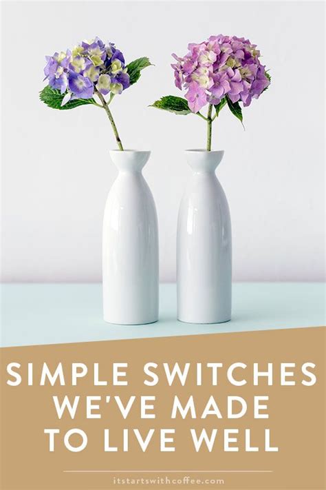 Image result for Simple Switches