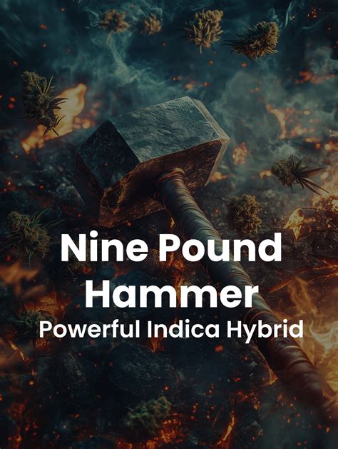 Nine Pound Hammer Cannabis Strain Review