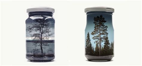 一花一世界：玻璃罐里的生态微景观