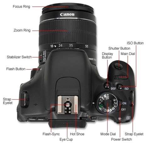 Canon Rebel Camera Tutorial 的图像结果