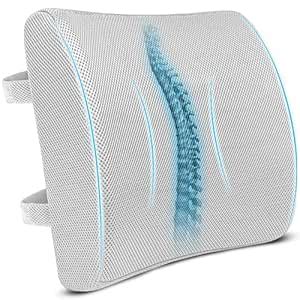 Sleepsia Back Support for Office Chair 1 Year Warranty Lumbar Support ...