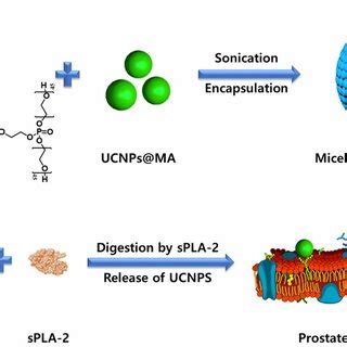 Image result for Over Encapsulation Procedure