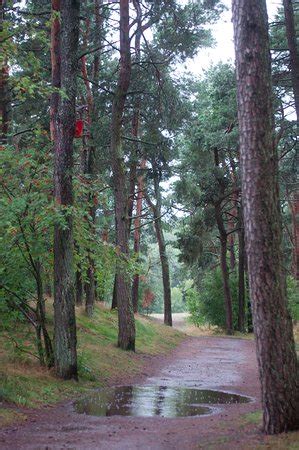 Curonian Spit / Kursiu Nerija National Park (Klaipeda) - What You Need ...