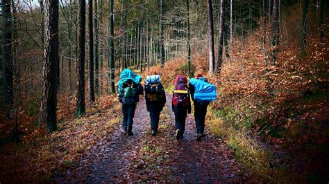 Wingate Wilderness Therapy