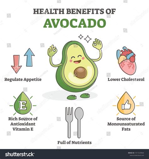 Avocado benefits : 2 524 images, photos et images vectorielles de stock | Shutterstock