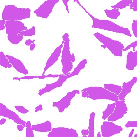 Annotated Quantitative Phase Microscopy Cell - Dataset Ninja