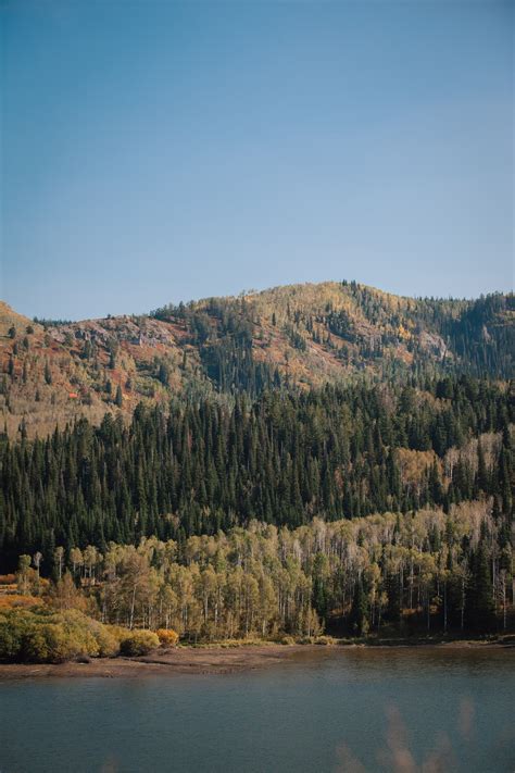 Timber Moose Lodge | Utah Wedding Guide