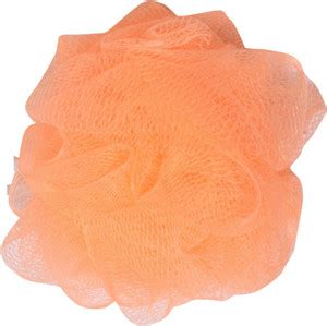 S S E Loofah - Price in India, Buy S S E Loofah Online In India ...