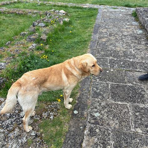 MONASTERE DE GRADAC - All You Need to Know BEFORE You Go (with Photos ...