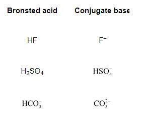 NCERT Solutions for Class 11 Chemistry chapter 7 - Equilibrium