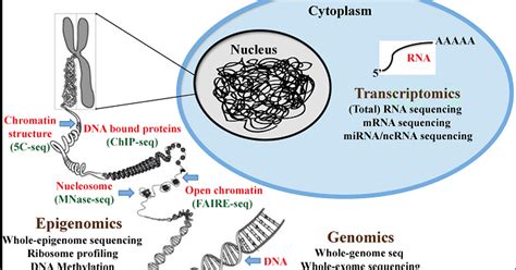 Next Generation Sequencing: Transforms Today's Biology — Teletype