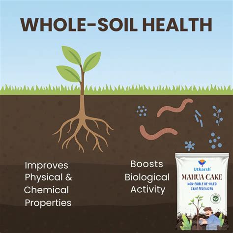 Mahua Oil Cake Fertilizer for Plants | Organic Compost, Mahua Khali fo ...