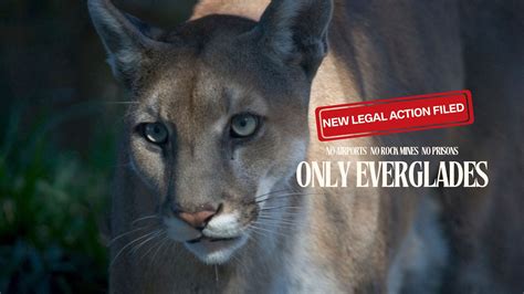 New legal filing over Endangered Species Act, Clean Water Act and national parks law - Friends ...