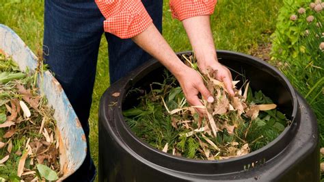 Image result for Composting Materials