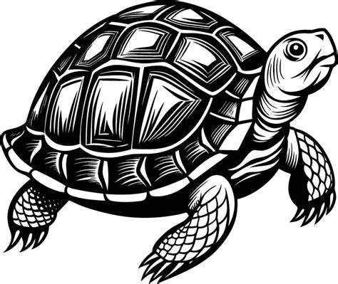 Image result for Turtle Graphics Art