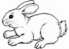 hase malvorlagen ausdrucken hase malvorlagen kostenlos zum ausdrucken ausmalbilder hase malvorlagen ausdrucken hase malvorlagen kostenlos zum ausdrucken ausmalbilder