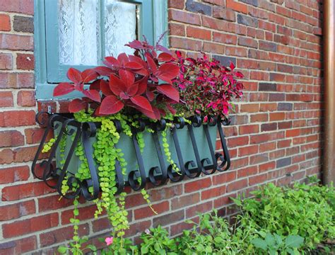 Top Wrought Iron Window Planter Boxes 2023 - Planter Ideas