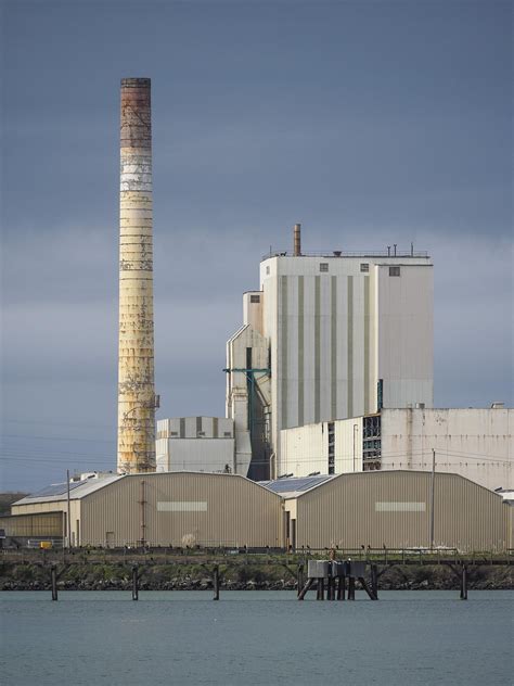 Image result for Pulp Process