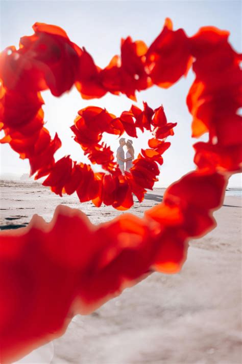 Valentines Day Roses Photos, Download The BEST Free Valentines Day Roses Stock Photos & HD Images