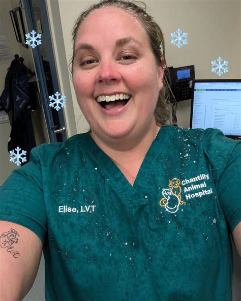 Chantilly Animal Hospital | Prevention is better than cure. Routine ...