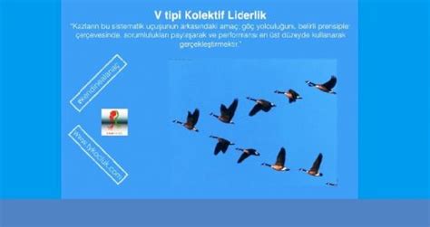 V tipi kollektif liderlik