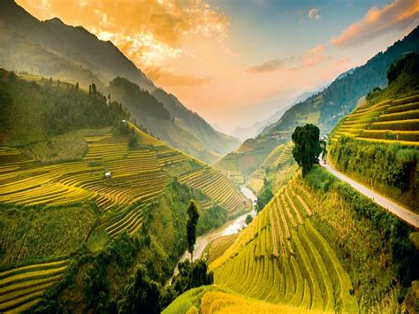 Image result for Vietnam Shell Exploding