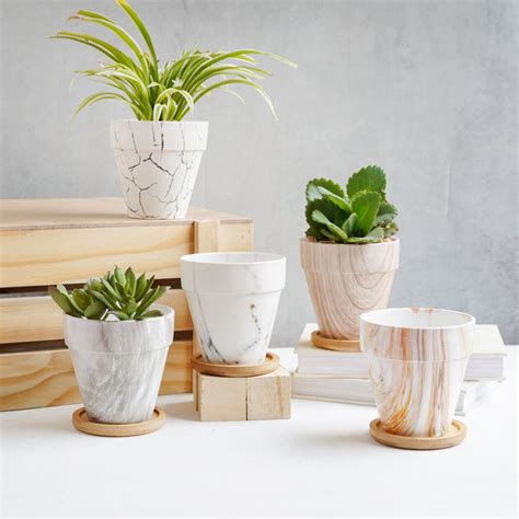 Ceramic Planter With Wooden Base - Table Ceramic Planter | Nestasia