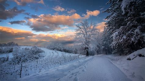 Winterbilder Bilder - Kostenloser Download auf Freepik