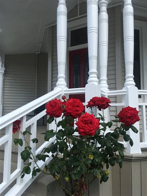 VALMAI HOUSE & MOTEL (Cambridge) - Hotel Reviews, Photos, Rate ...