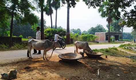 youth-of-bihar-are-forced-to-migrate-due-to-lack-of-employment-in-the-state