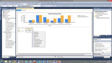 Image result for SQL Server Reporting Services Data Set