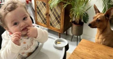 'Don't let him die': Teacher accused of murdering baby begged medics to ...