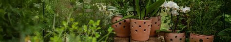Pots, containers & hanging baskets - Waitrose Garden