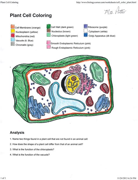 Nucleoplasm In Animal Cell Coloring
