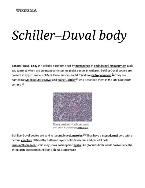 Schiller–Duval body - Wikipedia - Schiller–Duval body Schiller–Duval ...