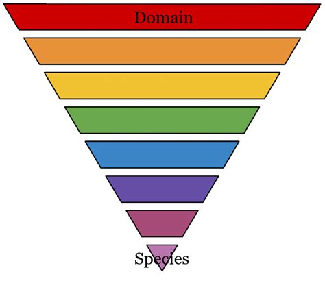 Image result for Classification Key Living Things