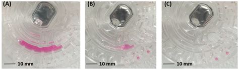 RETRACTED: Surface Hydrophilic Modification for Chip of Centrifugal ...