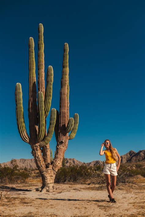 Image result for Cabo Spring Break 2024