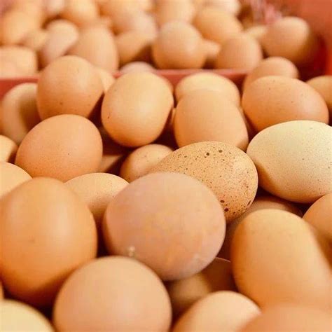 鸡蛋价格丨2021年8月21日鸡蛋价格行情参考_潍坊