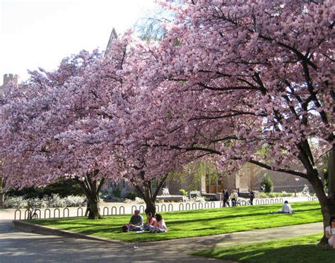 University District - Seattle: Get the Detail of University District on ...