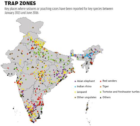 Illegal and ignominious world of wildlife trafficking