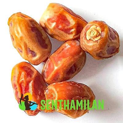 Natural Rabia Dates - | Indian Business Portal