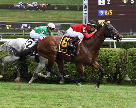Pedigree clues for 2025 Royal Palm Juvenile contests | TwinSpires