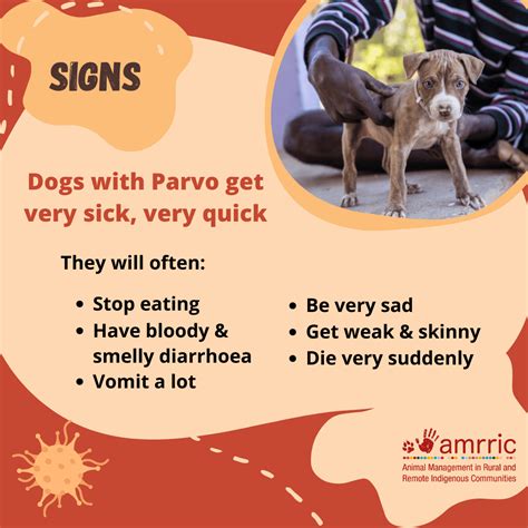Parvo Virus - Community Education Resources - AMRRIC