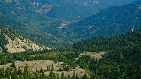 What new Senate ruling on federal land sale means for WA | Bellingham ...