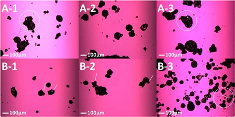 Impact of Laser Speed and Drug Particle Size on Selective Laser ...