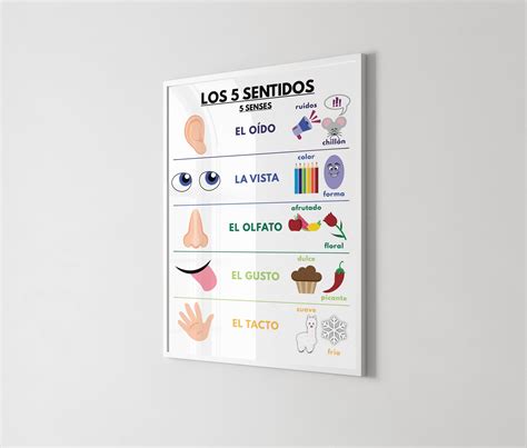 Spanish Language, FIVE SENSES POSTER, Educational Posters, Hearing ...