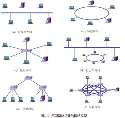 网络规划设计师教程知识点精讲之计算机网络分类_网络规划设计师_希赛网