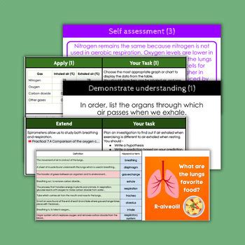 Image result for Free Science Lessons Gas Exchange