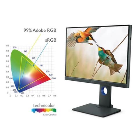 BenQ 24 Inch Monitor SW240, Best Price